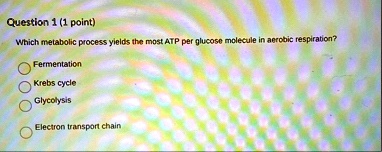 question 1 1 point which metabolic process yields the most atp per glucose molecule in aerobic respiration fermentation krebs cycle glycolysis electron transport chain 22382