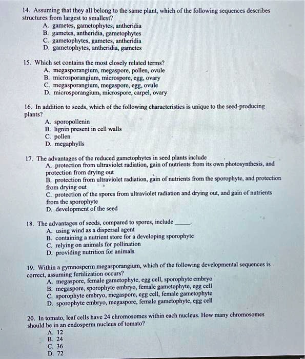 14. Assuming that they all belong to the same plant, which of the following sequences describes structures from largest to smallest?
A. gametes, gametophytes, antheridia
B. gametes, antheridia, gametophytes
C. gametophytes, gametes, antheridia
D. gametophytes, antheridia, gametes

15. Which set contains the most closely related terms?
A. megasporangium, megaspore, pollen, ovule
B. microsporangium, microspore, egg, ovary
C. megasporangium, megaspore, egg, ovule
D. microsporangium, microspore, carpel, ovary

16. In addition to seeds, which of the following characteristics is unique to the seed-producing
plants?
A. sporopollenin
B. lignin present in cell walls
C. pollen
D. megaphylls

17. The advantages of the reduced gametophytes in seed plants include
A. protection from ultraviolet radiation, gain of nutrients from its own photosynthesis, and
protection from drying out
B. protection from ultraviolet radiation, gain of nutrients from the sporophyte, and protection
from drying out
C. protection of the spores from ultraviolet radiation and drying out, and gain of nutrients
from the sporophyte
D. development of the seed

18. The advantages of seeds, compared to spores, include .
A. using wind as a dispersal agent
B. containing a nutrient store for a developing sporophyte
C. relying on animals for pollination
D. providing nutrition for animals

19. Within a gymnosperm megasporangium, which of the following developmental sequences is
correct, assuming fertilization occurs?
A. megaspore, female gametophyte, egg cell, sporophyte embryo
B. megaspore, sporophyte embryo, female gametophyte, egg cell
C. sporophyte embryo, megaspore, egg cell, female gametophyte
D. sporophyte embryo, megaspore, female gametophyte, egg cell

20. In tomato, leaf cells have 24 chromosomes within each nucleus. How many chromosomes
should be in an endosperm nucleus of tomato?
A. 12
B. 24
C. 36
D. 72
