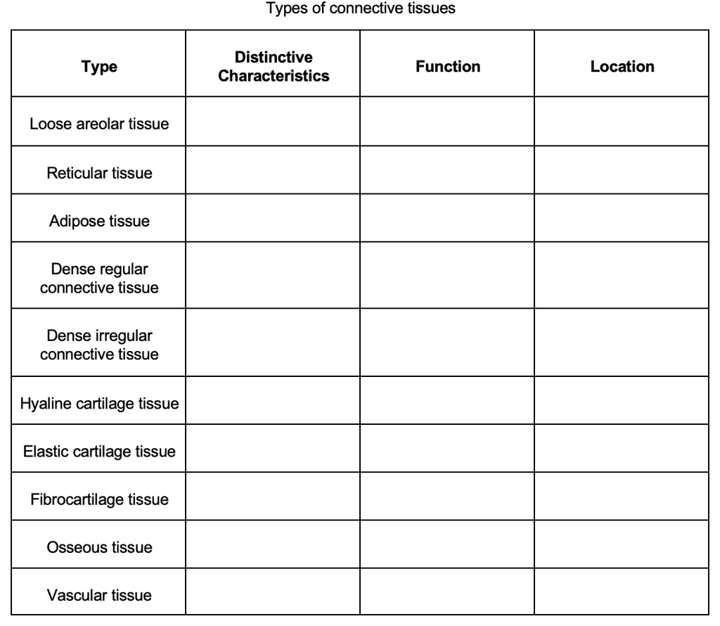 SOLVED:Types of connective tissues Distinctive Characteristics Type