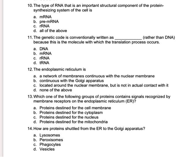 SOLVED: 10. The type of RNA that is an important structural component ...