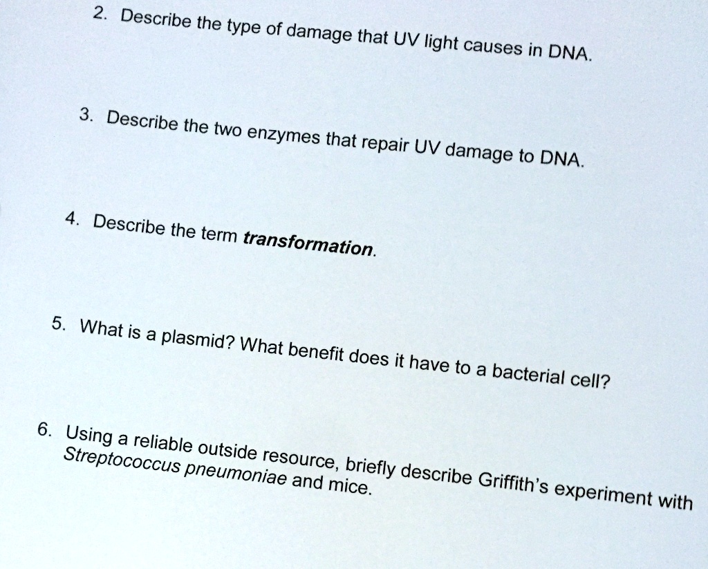 2. Describe the type of damage that UV light causes in DNA.

3. Describe the two enzymes that repair UV damage to DNA.

4. Describe the term transformation.

5. What is a plasmid? What benefit does it have to a bacterial cell?

6. Using a reliable outside resource, briefly describe Griffith's experiment with Streptococcus pneumoniae and mice.