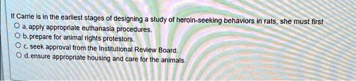 If Carrie is in the earliest stages of designing a study of heroin-seeking behaviors in rats, she must first
a. apply appropriate euthanasia procedures.
b. prepare for animal rights protestors.
c. seek approval from the Institutional Review Board.
d. ensure appropriate housing and care for the animals.