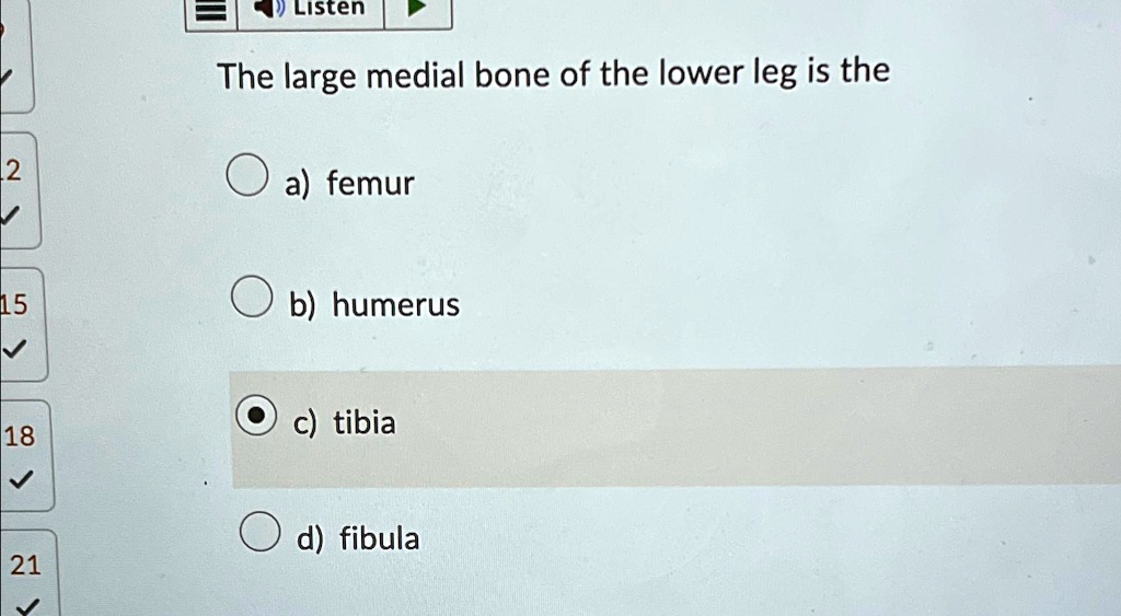 the large medial bone of the lower leg is the a femur b humerus c tibia ...