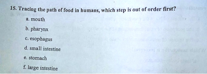 15. Tracing the path of food in humans, which step is out of order first?
a. mouth
b. pharynx
c. esophagus
d. small intestine
e. stomach
f. large intestine