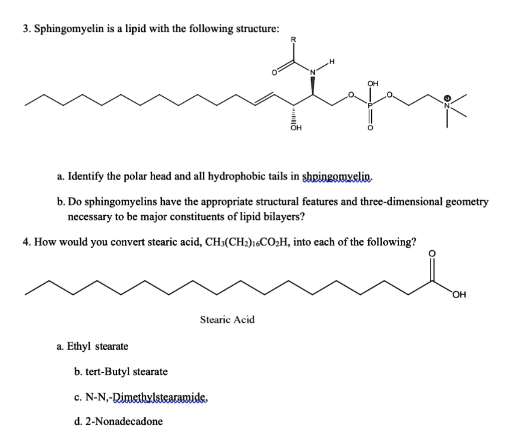 3 sphingomyelin is a lipid with the following structure oh identify the ...