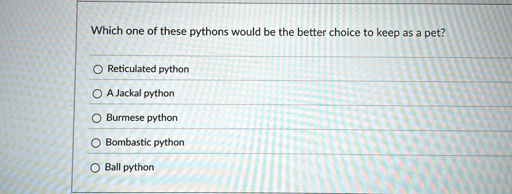 which one of these pythons would be the better choice to keep as a pet reticulated python a jackal python burmese python bombastic python ball python 39571