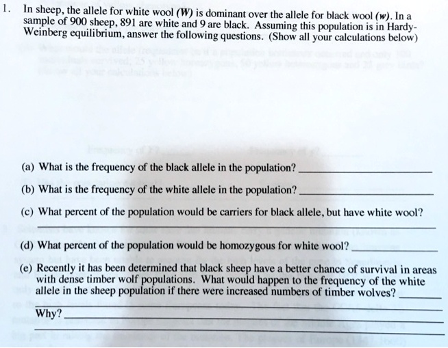 SOLVED: In Sheep The Allele For White Wool (W) Is Dominant Over The ...