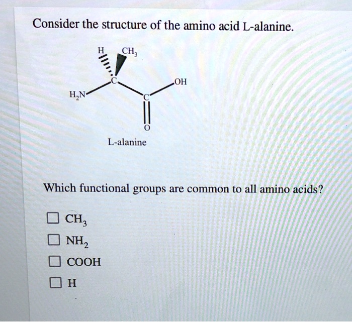 SOLVED Consider the structure of the amino acid Lalanine. CH; OH L