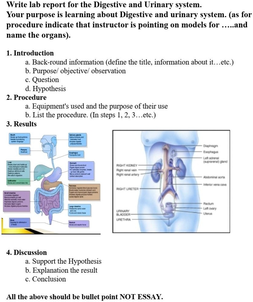 SOLVED Plz Solve These Questions Accurately And Completely Write Lab