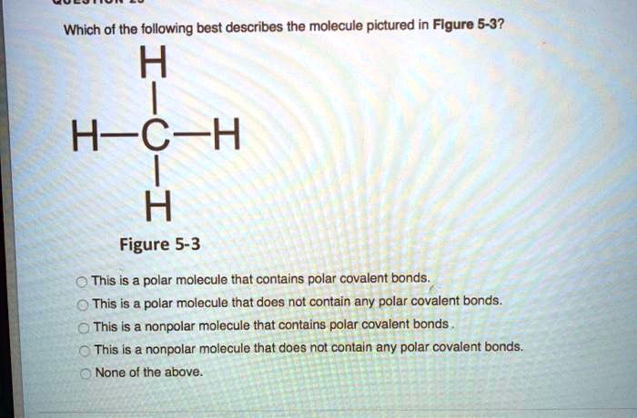 solved-which-of-the-following-best-describes-the-molecule-pictured-in