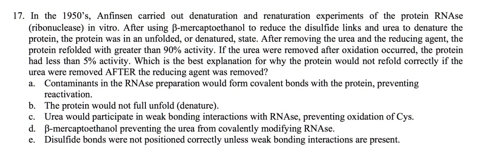 17. In the 1950's, Anfinsen carried out denaturation and renaturation experiments of the protein RNAse (ribonuclease) in vitro. After using ?-mercaptoethanol to reduce the disulfide links and urea to denature the protein, the protein was in an unfolded, or denatured, state. After removing the urea and the reducing agent, the protein refolded with greater than 90% activity. If the urea were removed after oxidation occurred, the protein had less than 5% activity. Which is the best explanation for why the protein would not refold correctly if the urea were removed AFTER the reducing agent was removed?
a. Contaminants in the RNAse preparation would form covalent bonds with the protein, preventing
reactivation.
b. The protein would not full unfold (denature).
c. Urea would participate in weak bonding interactions with RNAse, preventing oxidation of Cys.
d. ?-mercaptoethanol preventing the urea from covalently modifying RNAse.
e. Disulfide bonds were not positioned correctly unless weak bonding interactions are present.