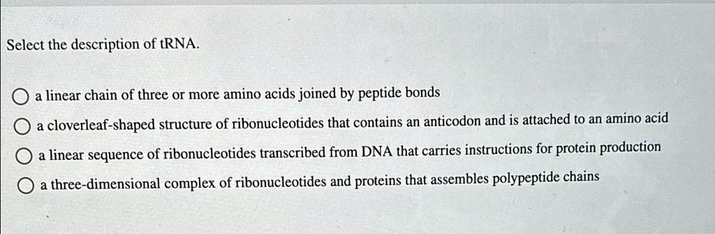 Select the description of tRNA. a linear chain of three or more amino ...