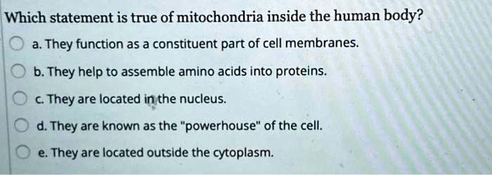 Which Statement Is True Of Mitochondria Inside The Human Body Which statement is true of mitochondria inside the human body? They