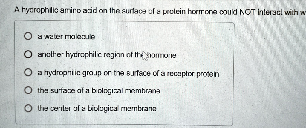 A hydrophilic amino acid on the surface of a protein hormone could NOT ...