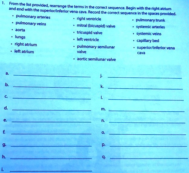 SOLVED and end with the superior/inferior vena cava. Record the