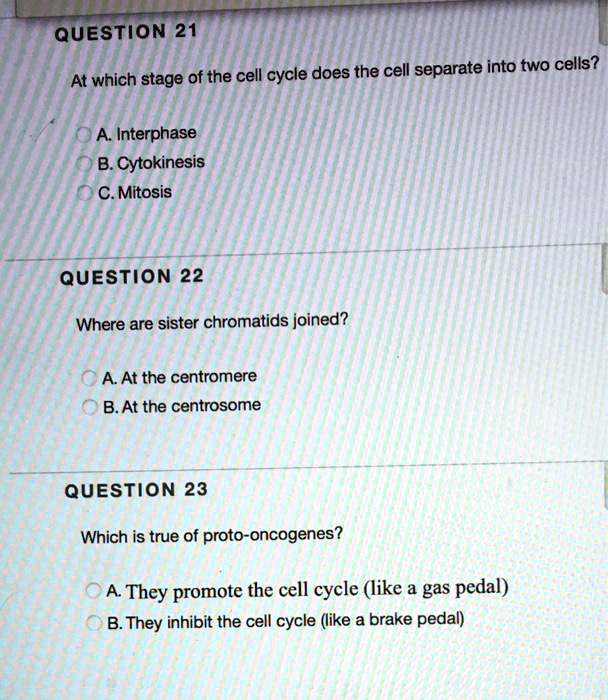 SOLVED: QuesTion 21 At which stage of the cell cycle does the cell ...