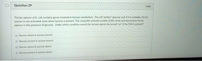 The lac operon of E. coli contains genes involved in lactose metabolism. The cell "prefers" glucose, and, if it is available, the lac operon is not activated, even when lactose is present. The catabolite activator protein (CAP), binds and deactivates the lac operon in the presence of glucose. Under which condition would the lactose operon be turned "on" if the CAP is present?

Glucose absent     Lactose present
Glucose present     Lactose present
Glucose absent     Lactose absent
Glucose present     Lactose absent