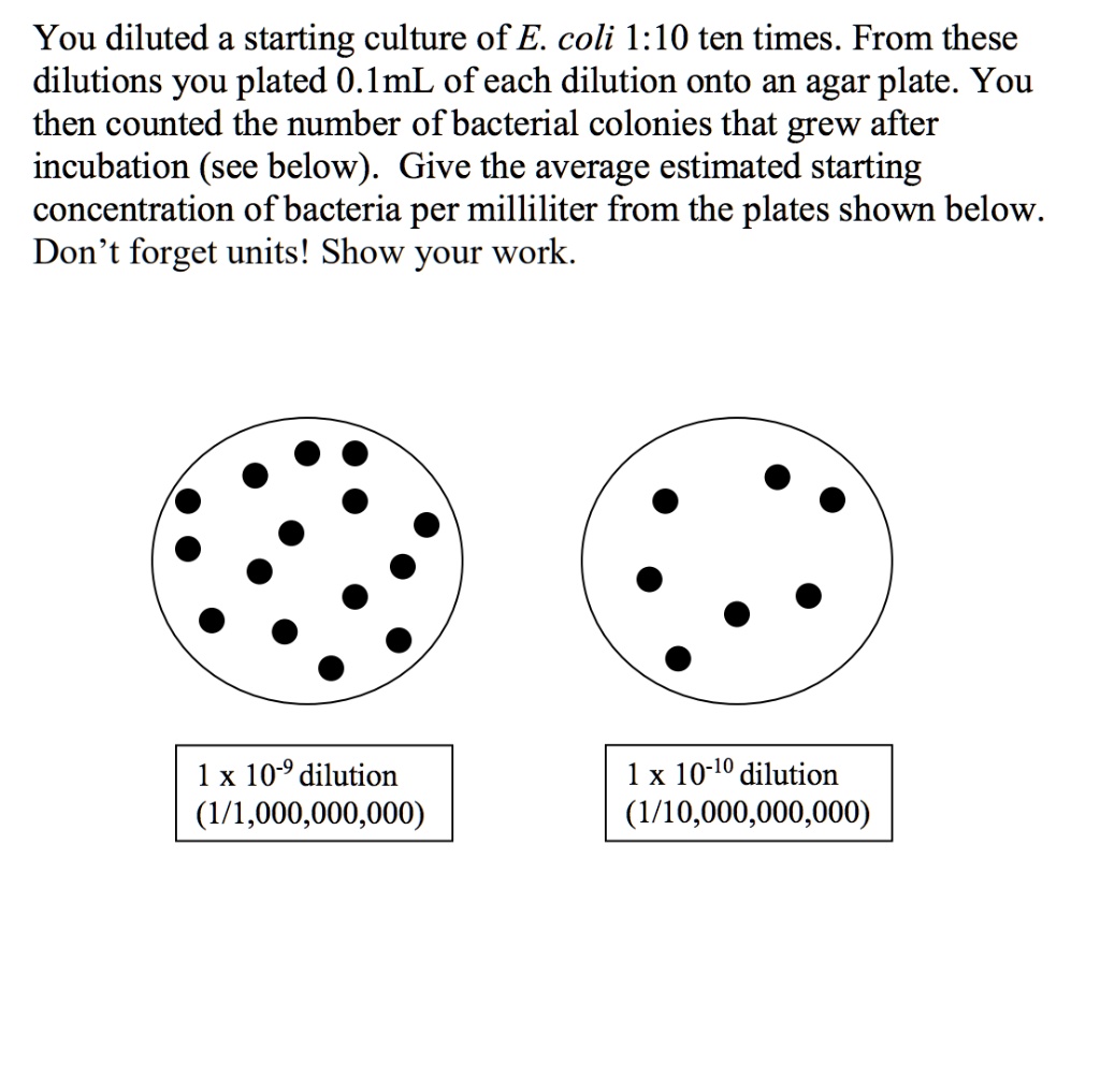 Solved You Diluted A Starting Culture Of E Coli 1 10 Ten Times From These Dilutions You Plated 0 Lml Of Each Dilution Onto An Agar Plate You Then Counted The Number Of Bacterial