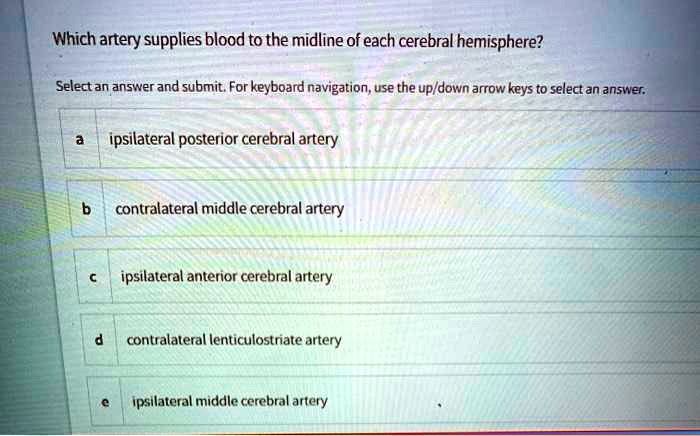 Which artery supplies blood to the midline of each cerebral hemisphere?
a ipsilateral posterior cerebral artery
b contralateral middle cerebral artery
c ipsilateral anterior cerebral artery
d contralateral lenticulostriate artery
e ipsilateral middle cerebral artery