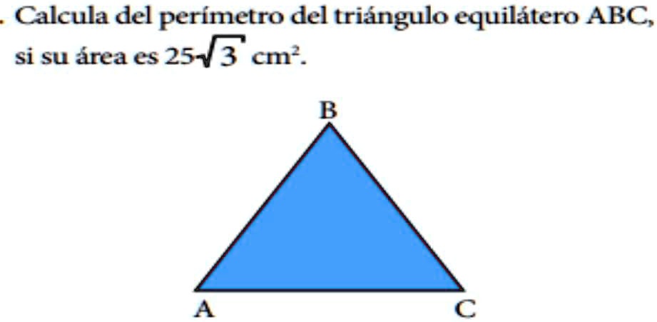 SOLVED: calcula el perímetro del triangulo equilatero Calcula del ...