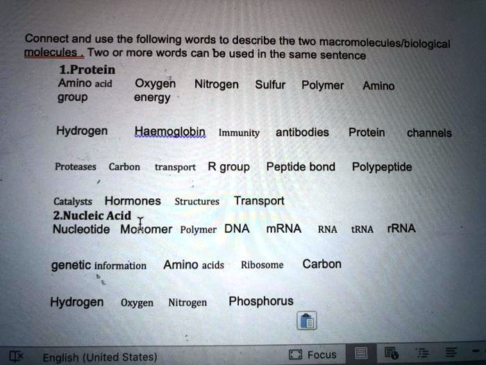 SOLVED Connect and use the following words to describe the two