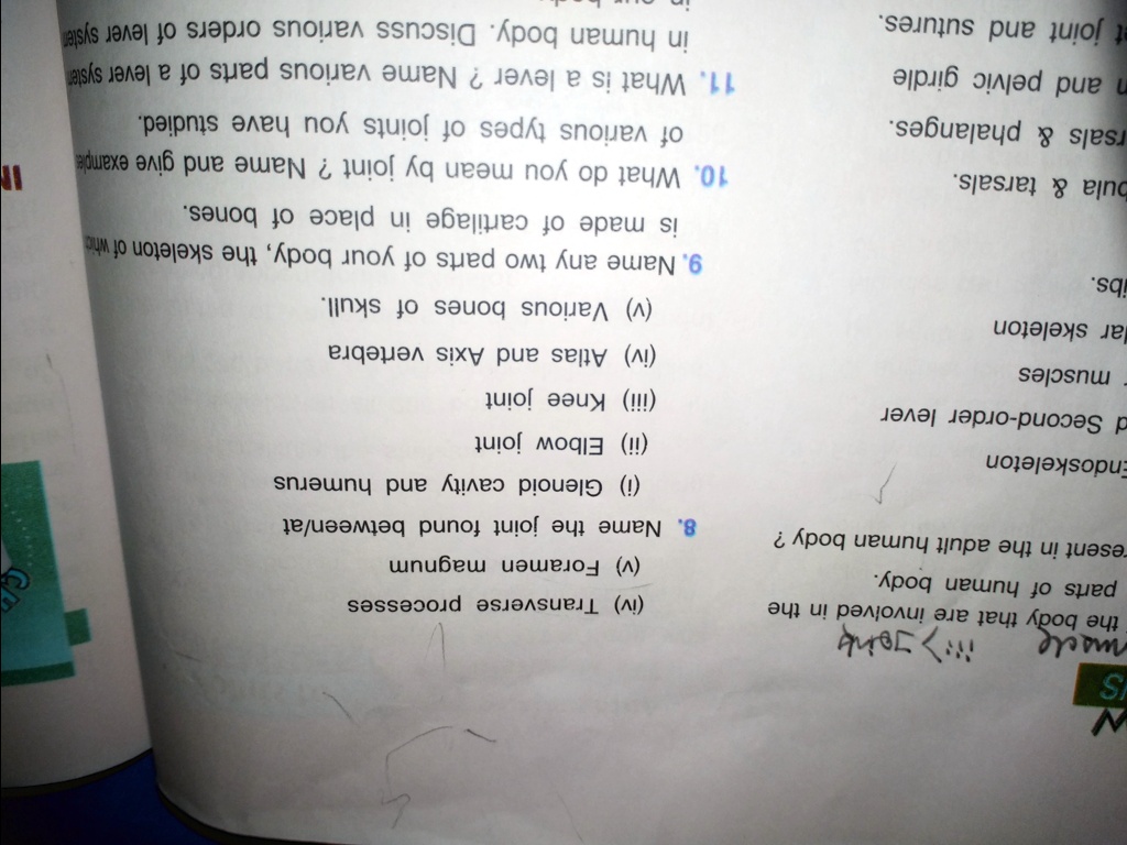 S
> Joink
mscle
the body that are involved in the
parts of human body.
resent in the adult human body?
Endoskeleton
d Second-order lever
- muscles
ar skeleton
ibs.
bula     tarsals.
rsals     phalanges.
m and pelvic girdle
et joint and sutures.
(iv) Transverse processes
(v) Foramen magnum
8. Name the joint found between/at
(i) Glenoid cavity and humerus
(ii) Elbow joint
(iii) Knee joint
(iv) Atlas and Axis vertebra
(v) Various bones of skull.
9. Name any two parts of your body, the skeleton of whic
is made of cartilage in place of bones.
10. What do you mean by joint ? Name and give example
of various types of joints you have studied.
11. What is a lever? Name various parts of a lever system
in human body. Discuss various orders of lever syster