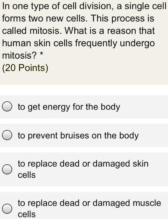 In one type of cell division, a single cell forms two new cells. This ...