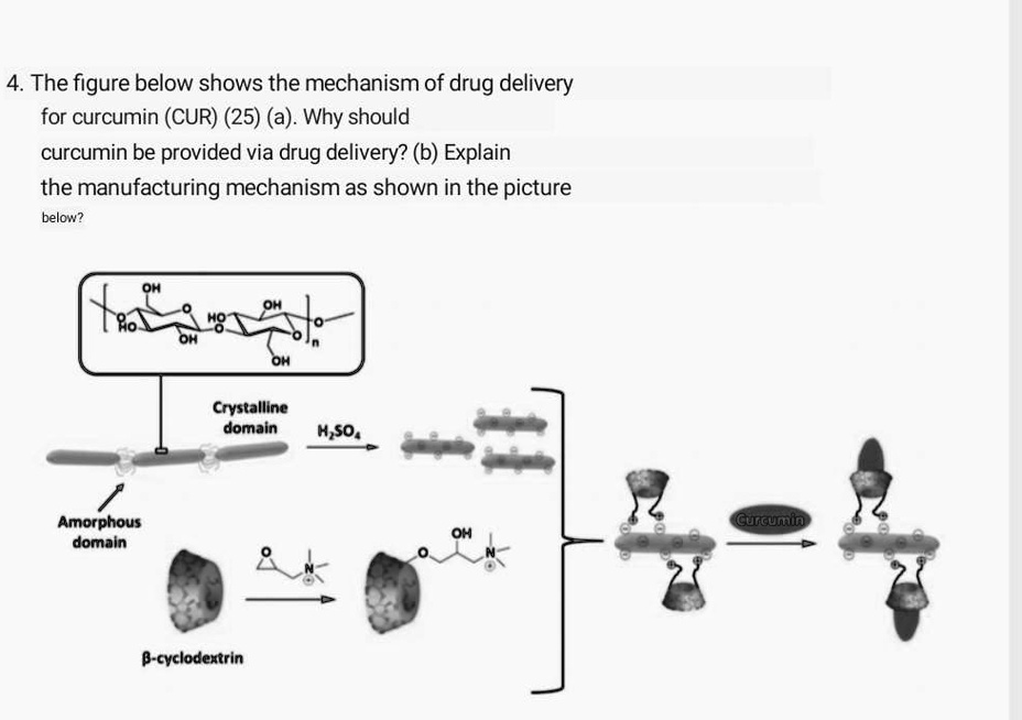4. The figure below shows the mechanism of drug delivery for curcumin ...