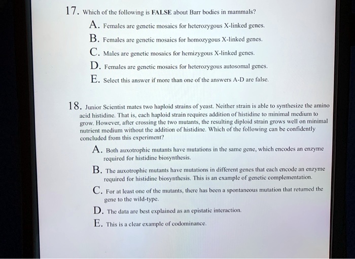 17. Which of the following is FALSE about Barr bodies in mammals?
A. Females are genetic mosaics for heterozygous X-linked genes.
B. Females are genetic mosaics for homozygous X-linked genes.
C. Males are genetic mosaics for hemizygous X-linked genes.
D. Females are genetic mosaics for heterozygous autosomal genes.
E. Select this answer if more than one of the answers A-D are false.

18. Junior Scientist mates two haploid strains of yeast. Neither strain is able to synthesize the amino acid histidine. That is, each haploid strain requires addition of histidine to minimal medium to grow. However, after crossing the two mutants, the resulting diploid strain grows well on minimal nutrient medium without the addition of histidine. Which of the following can be confidently concluded from this experiment?
A. Both auxotrophic mutants have mutations in the same gene, which encodes an enzyme required for histidine biosynthesis.
B. The auxotrophic mutants have mutations in different genes that each encode an enzyme required for histidine biosynthesis. This is an example of genetic complementation.
C. For at least one of the mutants, there has been a spontaneous mutation that returned the gene to the wild-type.
D. The data are best explained as an epistatic interaction.
E. This is a clear example of codominance.