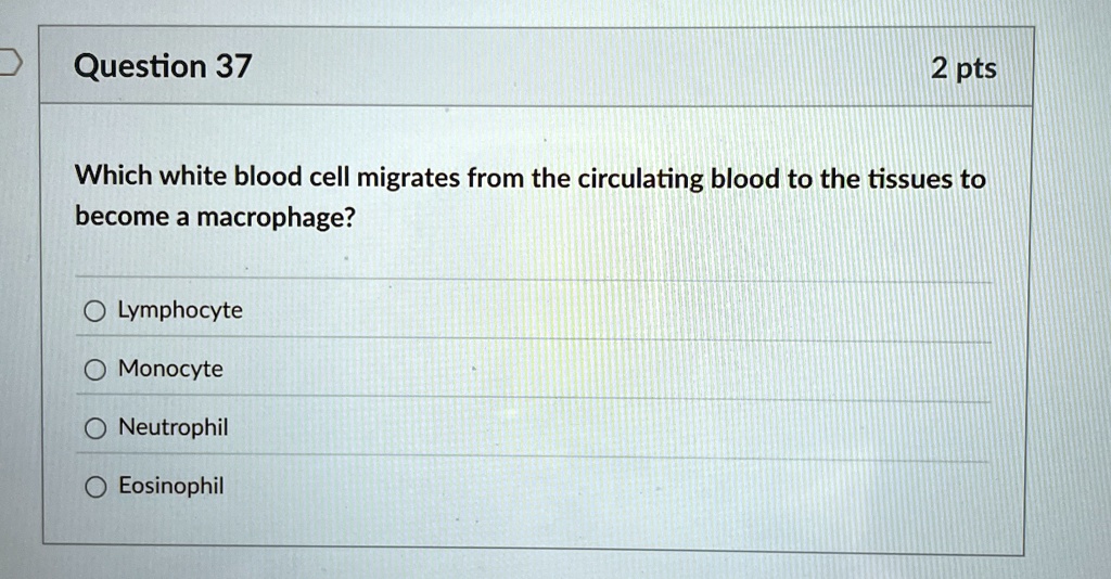 Question 37
2 pts
Which white blood cell migrates from the circulating blood to the tissues to
become a macrophage?
Lymphocyte
Monocyte
Neutrophil
Eosinophil