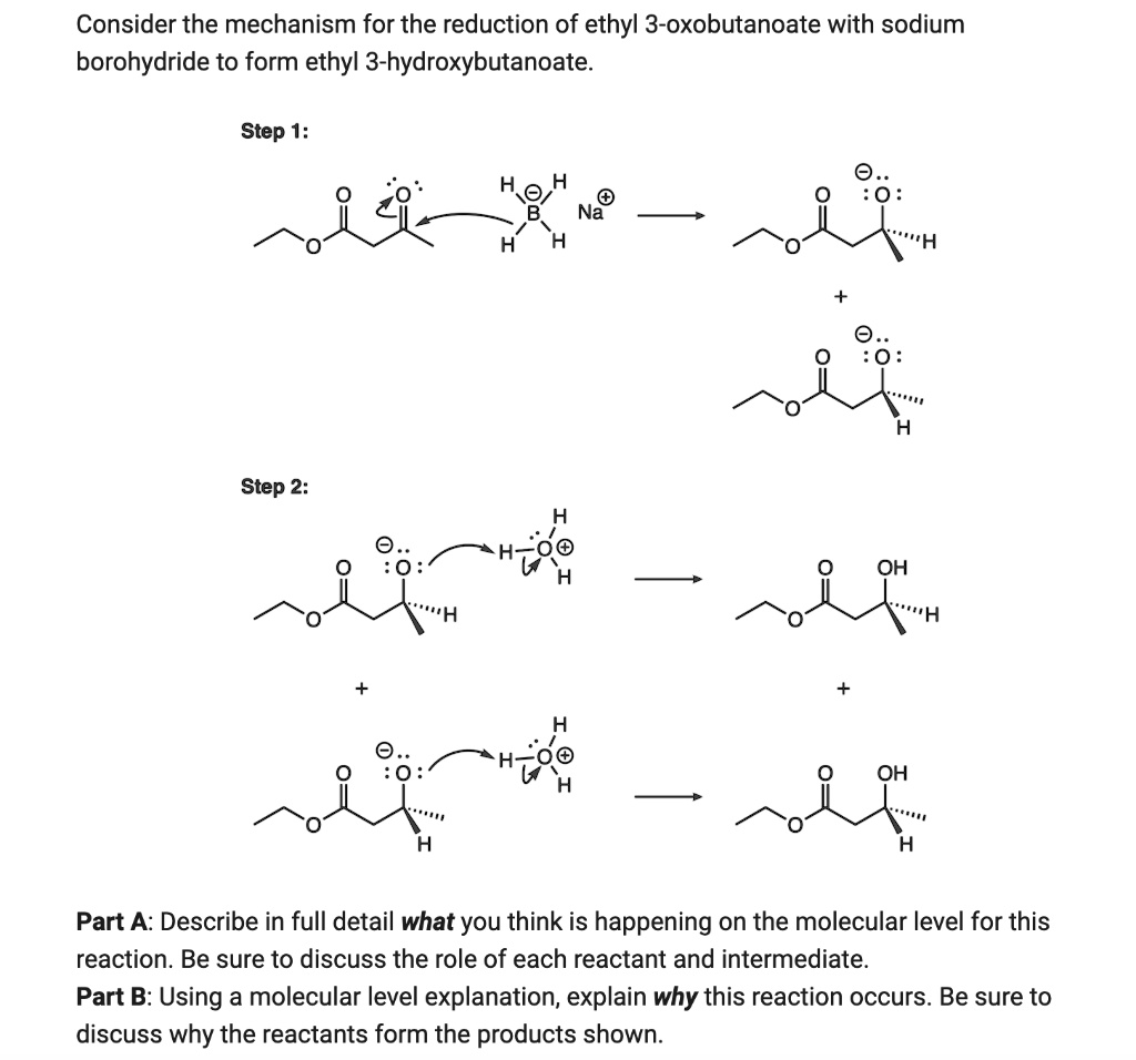 consider the mechanism for the reduction of ethyl 3 oxobutanoate with ...