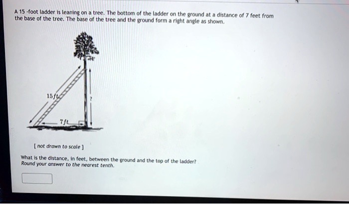 A 15-foot ladder is leaning on a tree. The bottom of the ladder on the ...