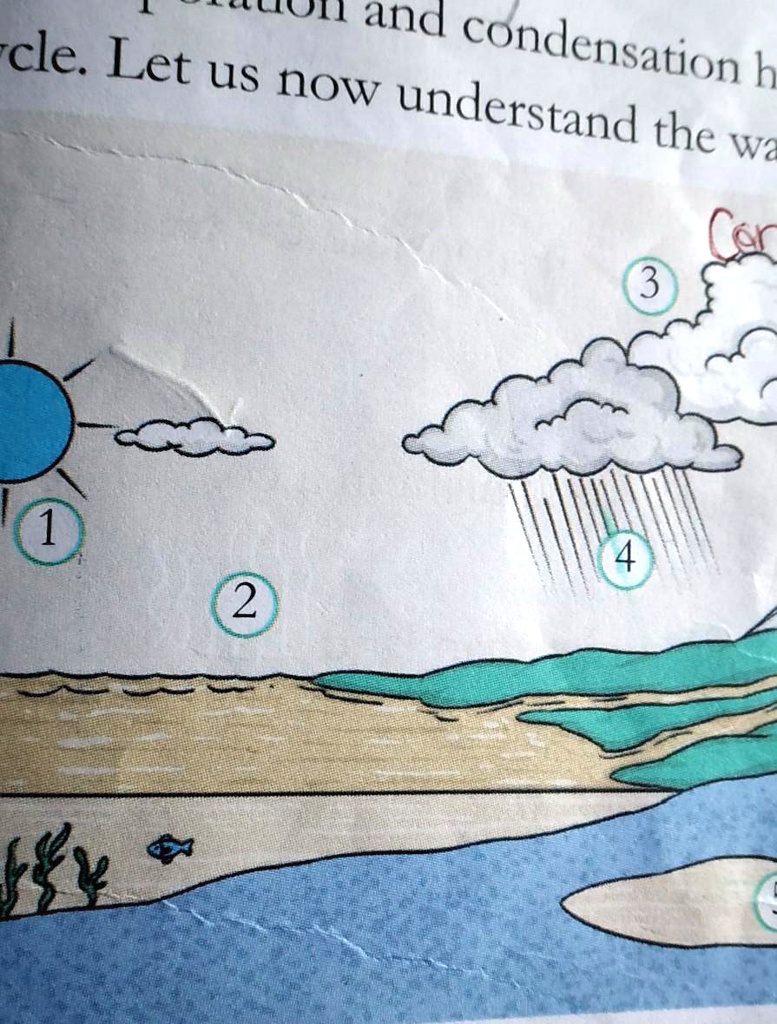 How to draw Water Cycle ..|| Science Project - YouTube-cacanhphuclong.com.vn