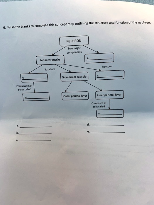 SOLVED: Text: Complete this concept map outlining the structure and ...