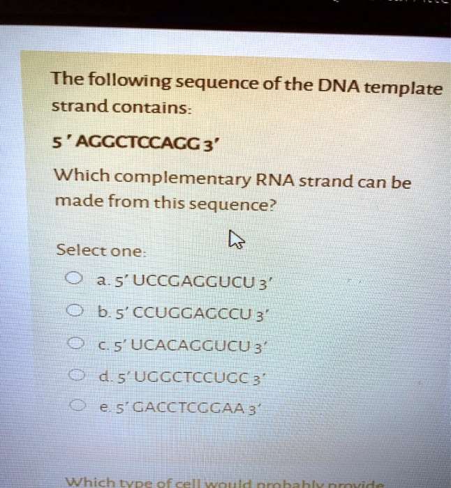 SOLVEDThe following sequence ofthe DNA template strandcontains 5