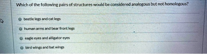 Which Of The Following Would Be Considered Analogous Structures SOLVED: Which of the following pairs of structures would be considered
