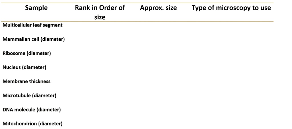 sample rank in order of size approx size type of microscopy to use ...