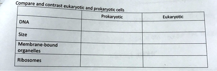 SOLVED: Compare and contrast eukaryotic and prokaryotic cells ...