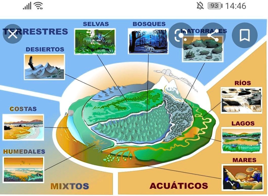 En Un Ecosistema Que Se Puede Definir Como Biocenosis Y A Que Biotopo Que Es La Biosfera Defina 0963