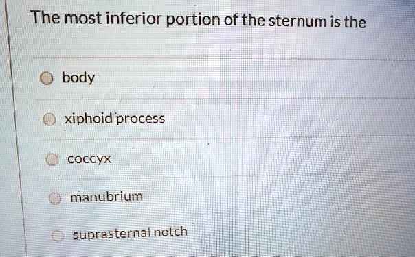 The most inferior portion of the sternum is the
body
xiphoid process
coccyx
manubrium
suprasternal notch