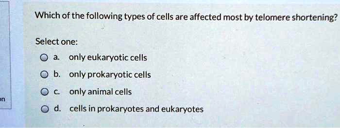 Which of the following types of cells are affected most by telomere shortening?

Select one:
a. only eukaryotic cells
b. only prokaryotic cells
c. only animal cells
d. cells in prokaryotes and eukaryotes