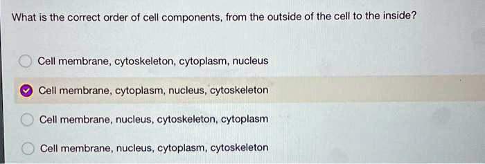 SOLVED: What is the correct order of cell components, from the outside ...