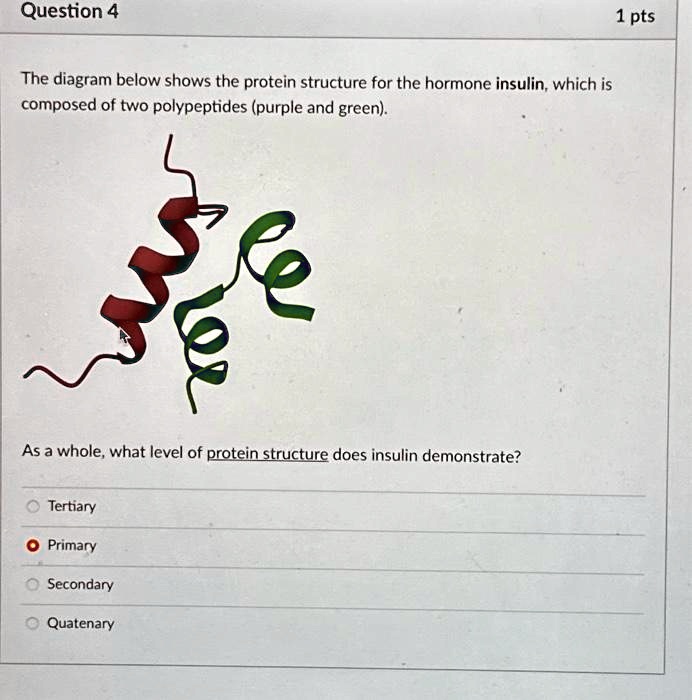SOLVED Question 4 The diagram below shows the protein structure for