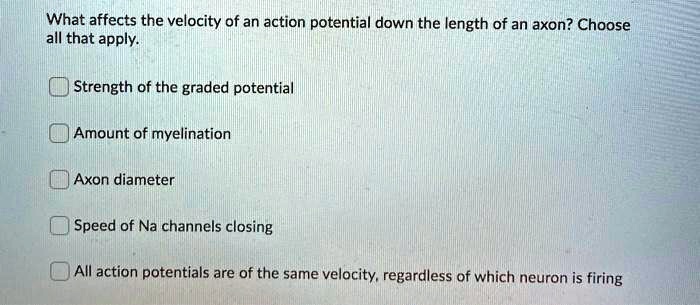 What affects the velocity of an action potential down the length of an axon? Choose all that apply.
Strength of the graded potential
Amount of myelination
Axon diameter
Speed of Na channels closing
All action potentials are of the same velocity, regardless of which neuron is firing