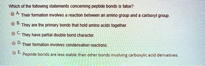 Which of the following statements concerning peptide bonds is false?
A. Their formation involves a reaction between an amino group and a carboxyl group.
B. They are the primary bonds that hold amino acids together.
C. They have partial double bond character.
D. Their formation involves condensation reactions.
E. Peptide bonds are less stable than other bonds involving carboxylic acid derivatives.