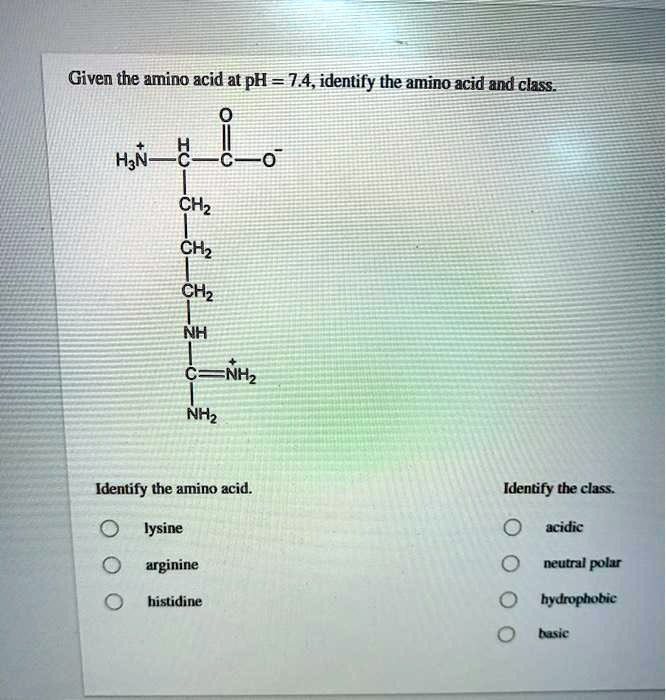 SOLVED Given the amino acid at pH = 7.4,identify the amino acid and class HyN CHz CHz CHz NH CS