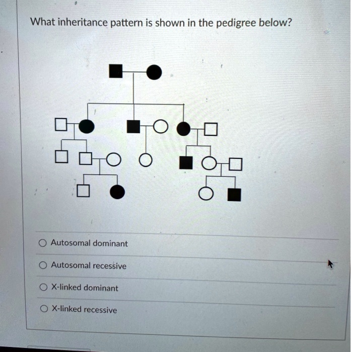 Autosomal Recessive Inheritance Pedigree