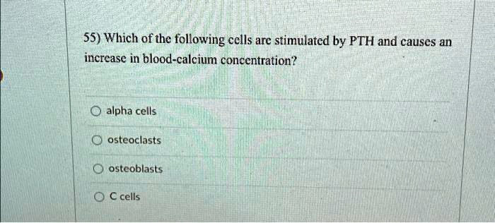 55) Which of the following cells are stimulated by PTH and causes an
increase in blood-calcium concentration?
alpha cells
osteoclasts
osteoblasts
C cells
