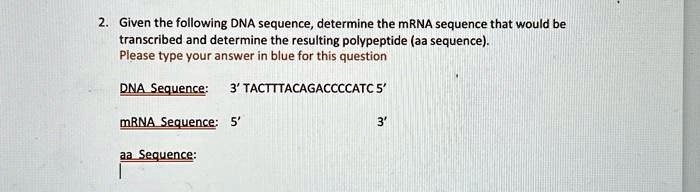 2. Given the following DNA sequence, determine the mRNA sequence that would be
transcribed and determine the resulting polypeptide (aa sequence).
Please type your answer in blue for this question
DNA Sequence: 3' TACTTTACAGACCCCATC 5'
mRNA Sequence: 5'
3'
aa Sequence: