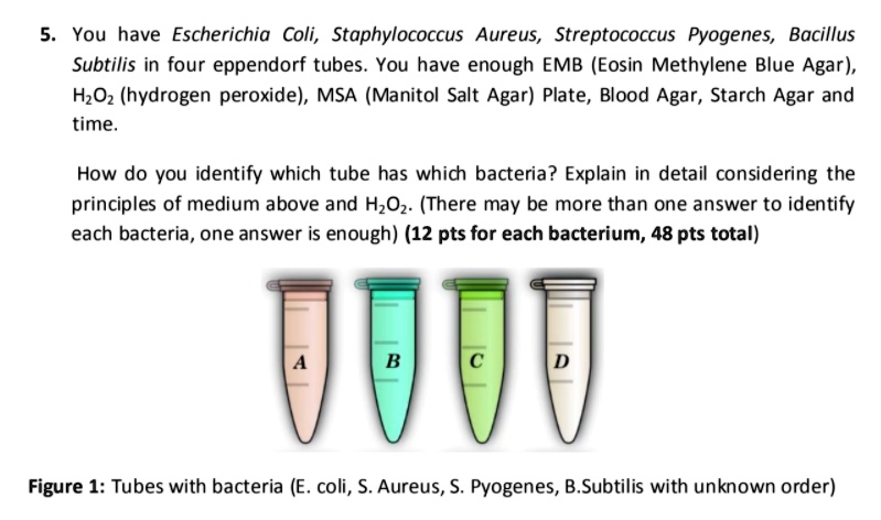 SOLVED: You have Escherichia Coli, Staphylococcus Aureus, Streptococcus ...